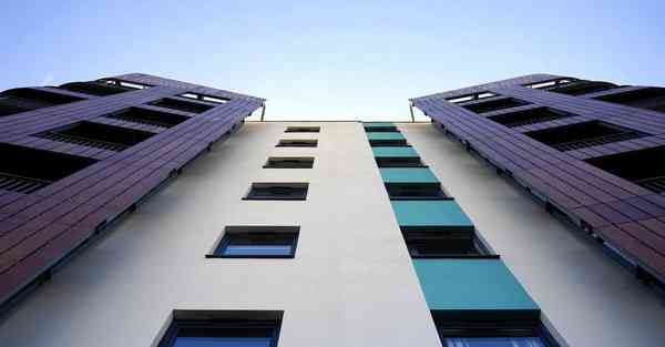 鸟类公益宣传片制作