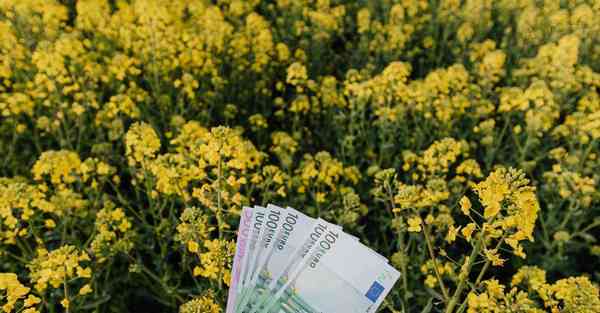 南昌城市宣传片正式发布