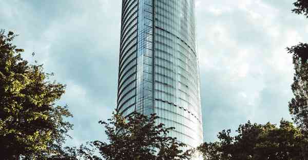 什么是制作ppt_什么是政治偏差