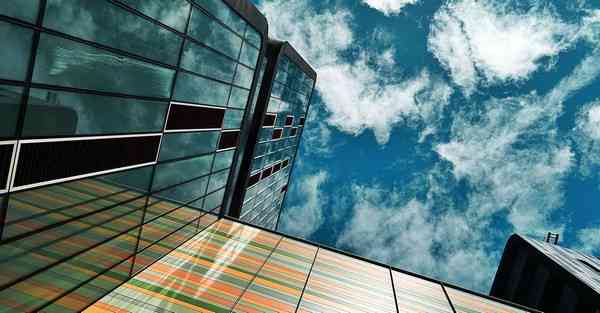 鸟类公益宣传片制作