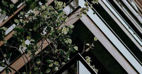 热门宣传片制作公司